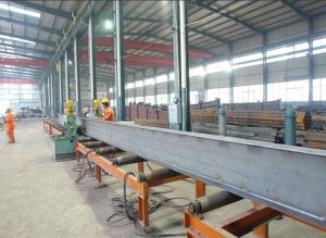 Low Cast Steel Structure Workshop