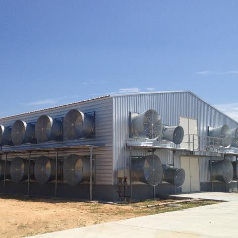 Customized High Quality Poultry Shed Broiler House Construction Chicken Farming